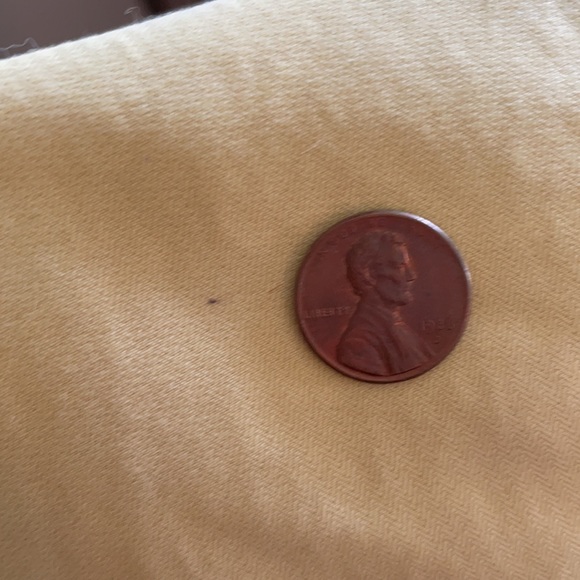 Yellow Horny Toad Capris - Picture 6 of 6